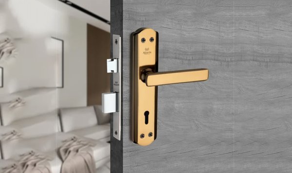 Lever Door Handle